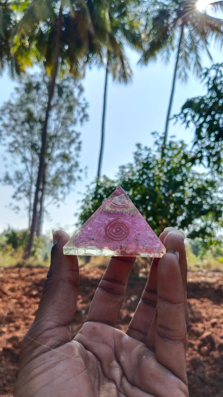 whatsapp image 2025 12 19 at 1.32.09 pm