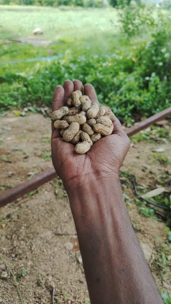 whatsapp image 2025 12 19 at 1.43.46 pm