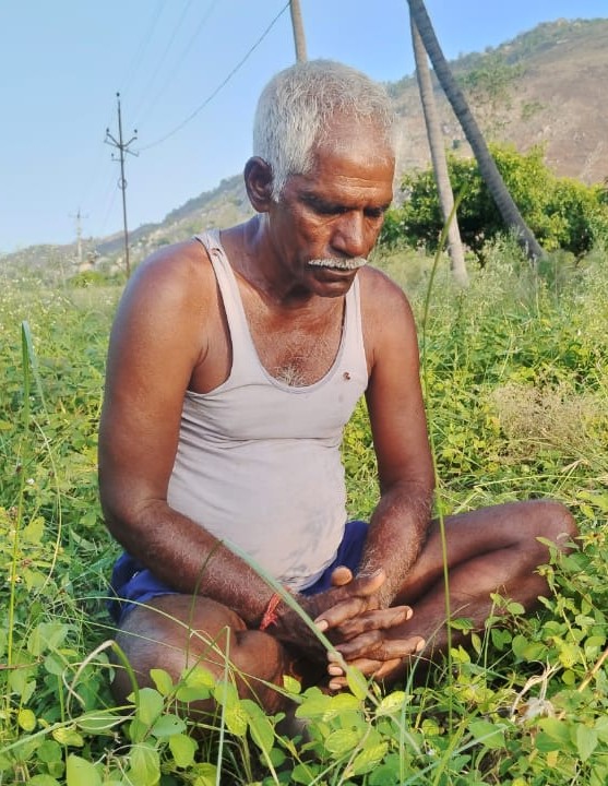 whatsapp image 2025 12 19 at 1.43.53 pm