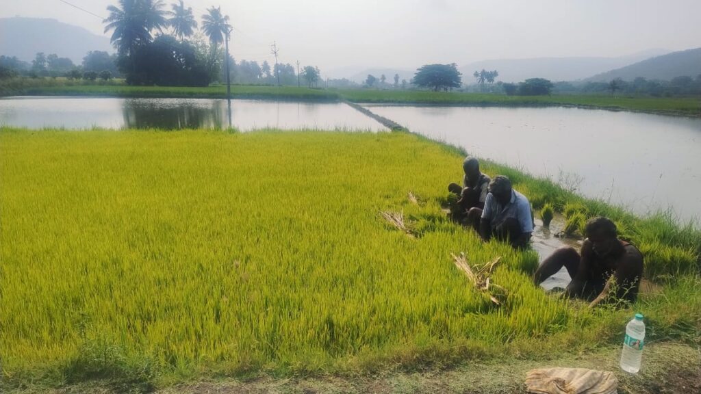 whatsapp image 2025 12 19 at 2.06.32 pm