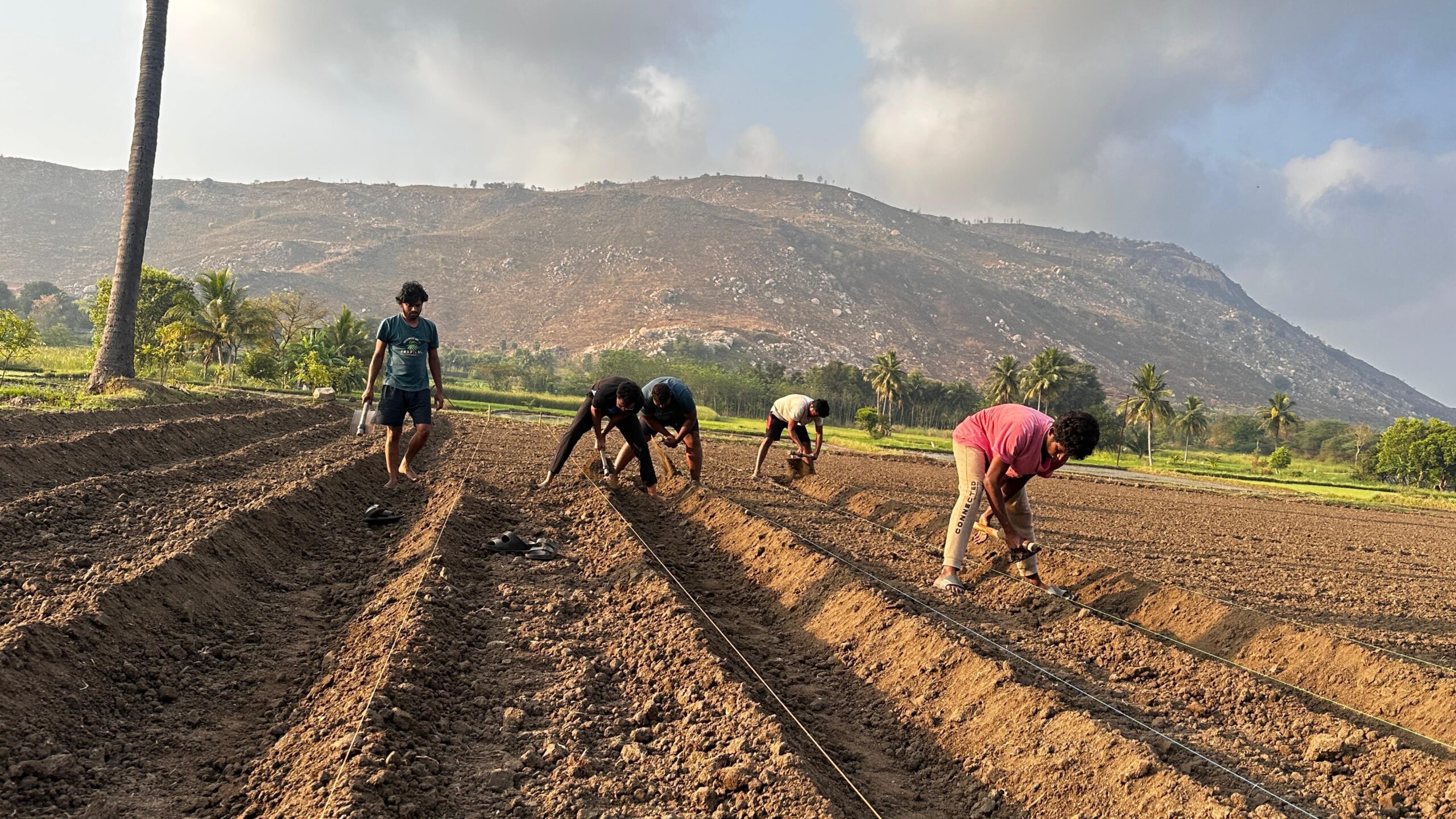 About whatsapp image 2025 12 19 at 3.13.19 pm